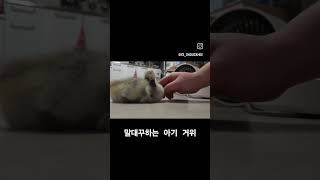 아기가 이렇게 작았다고..?이때로 돌아가..ㅠ ㅠ