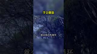 學會翻篇，既是放過自己，也是重新開始【佛學講堂】