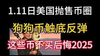 1.11日美国政府出售七万个比特币！狗狗币触底反弹！币圈已触底？还抄底哪些币？