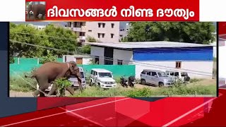 അരികൊമ്പനിത് മൂന്നാം കാടുമാറ്റം; കമ്പത്തെ ജനങ്ങൾക്ക് ആശ്വാസം | arikkomban | tamil nadu