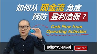 如何预防盈利造假？现金流报表 (第3讲) / Cash Flow Statement (Part 3)