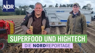 Ackern bis zum Frost - Wintergemüse frisch vom Feld | Die Nordreportage | NDR