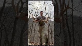 Giant Pennsylvania Public Land Buck Shed Antlers