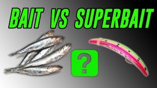 Bait Vs SUPERBAIT, What CATCHES More FISH??! | INSANE Ocean Salmon Fishing  | Addicted Life Ep. #52