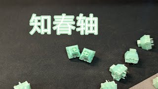 【鸽们来聊轴46】凯华四季系列最后一款轴，唯一一款线性轴，知春轴，自费体验