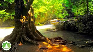 Beautiful relaxing music | Enjoy peaceful music and natural music | meditation music |nature sound