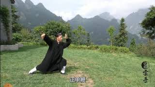 武当太极廿八勢 (下 ) 15至28式  钟云龙道长  Wudang Taiji 28 form part 2, 15th to 28th, by Master Zhong Wunlong