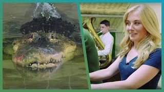 Alligator ROARS at Tuba Player! | BBC Earth Explore