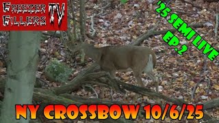 🦌 NY Crossbow Hunting! 10-6-2025 | Day 2 | Freezer Fillers TV 🎯