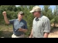 Gun Talk TV - Aimpoint Hunter Series Sights