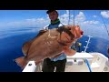 insane offshore bottom fishing giant gag grouper 50 miles out tampa bay