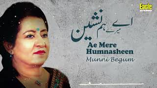Ae Meray Humnasheen | Munni Begum | Eagle Stereo | HD Video