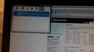 Selenium and Firebug install