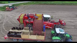 Contractor Hopmans harvesting potatoes with the new Grimme Varitron 270