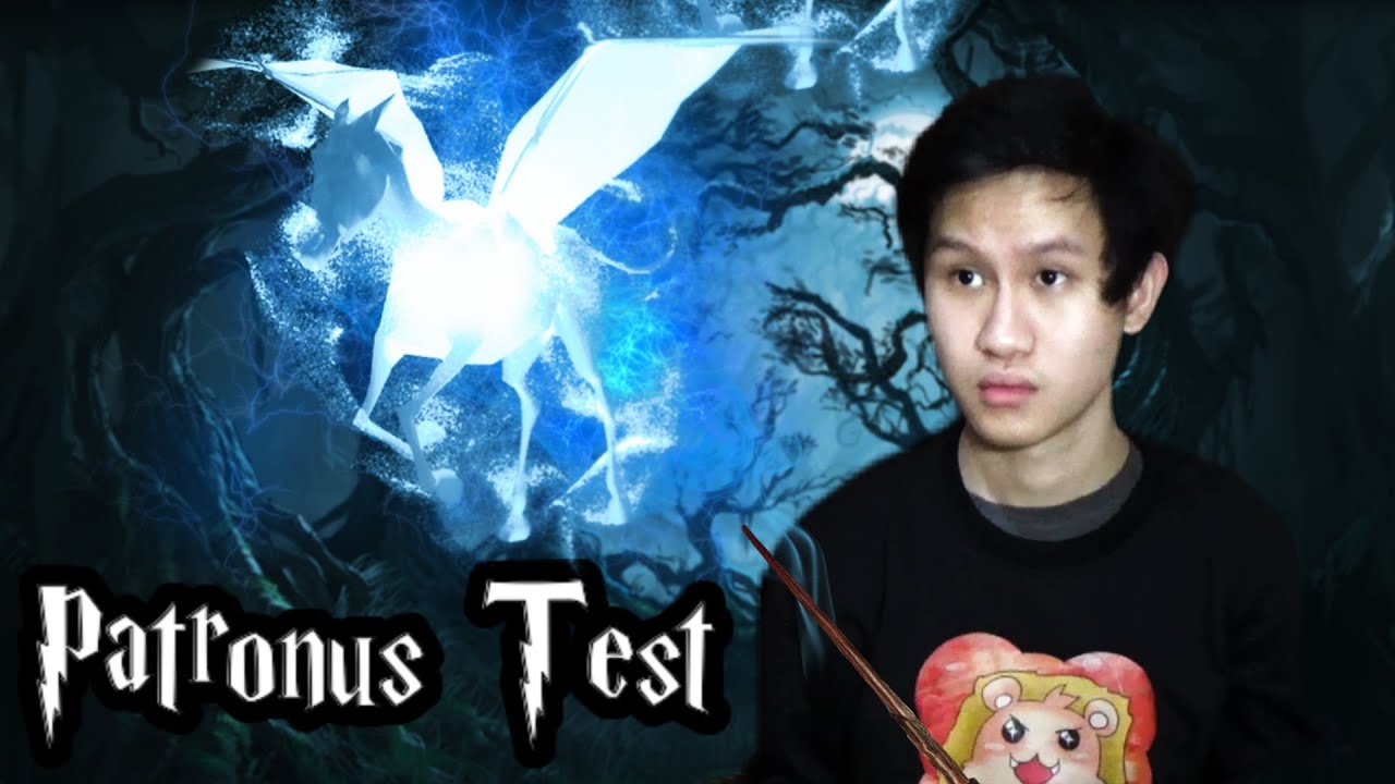 The Wizarding World Patronus Quiz Expecto Patronum! What Is Your ...