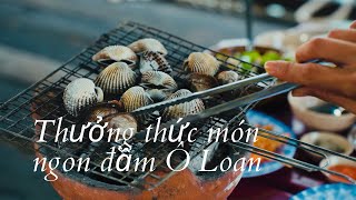 Dạo chơi thưởng thức món ngon đầm Ô Loan | Viet Nam Discovery Channel