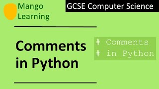 Adding comments to Python code