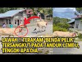 LAWAK !! TERAKAM 'BENDA PELIK' TERSANGKUT PADA TANDUK LEMBU, TENGOK APA DIA...