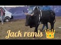 comment mano banjop iong heh thadan 👑 vs jack remis👑 🐂 3 11 ha madan heh umthli