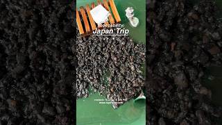 Scoopability: Japan Trip 🗾🥄