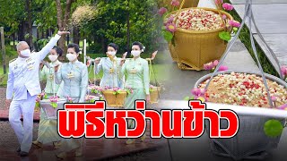 ในหลวง โปรดเกล้าฯ ประกอบพิธีหว่านข้าวในสวนจิตรฯ วันพืชมงคล