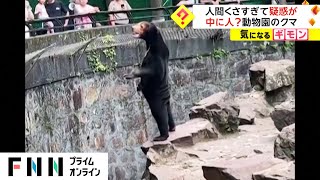 人間くさすぎて疑惑が　中に人? 動物園のクマ