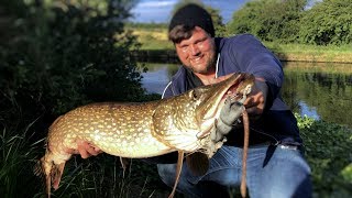 BIG PIKE on the savage gear rat lure!! Topwater pike fishing