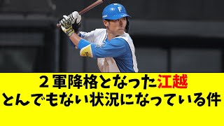 【日ハム】2軍降格後の江越、とんでもない状況になってる件