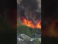 firestorm vortex fire tornadoes shorts nature