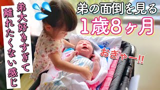 弟の面倒を見る1歳8ヶ月の小さなお姉ちゃん