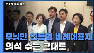 결국 무늬만 연동형 비례대표제...의석 수는 그대로 / YTN