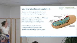 Mitochondrien - Vortrag Ganzheitliche Medizin Augsburg