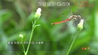 [시낭송] 김정섭 / 가을을 기다리며 / 시낭송 / 박남숙