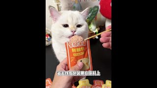 新鲜纯肉加羊奶的软罐头，我家猫咪才7个月就长得比猪还壮实，活动价格是真划算啊#吃货猫 #萌宠好物 #猫饭 #猫罐头