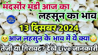 लहसून का भाव मंदसौर मंडी 13  दिसंबर 2024 | Aaj ka Lahsun ka bhav | garlic rate | #mandsaur_mandi_bha