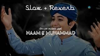 Ghulam Mustafa QaDri, [ Slow and Reverb], ISLAMIC LO-FI , NAAM E MUHAMMAD