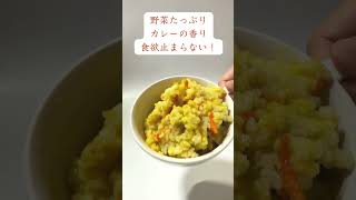 【野菜もりもり】 ドライカレー アルファ化米｜賞味期限5年 #防災 #非常食 #登山飯 #キャンプ飯 #アウトドア料理 #アウトドア飯 #防災グッズ