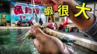 【老蟹愛釣蝦】瘋釣蝦公蝦池裏的蝦為什麼跟大公蝦池裏的蝦差不多大阿？這尺寸是正常的嗎？