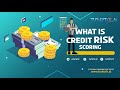 What is Credit Risk Scoring | Turilytix.ai