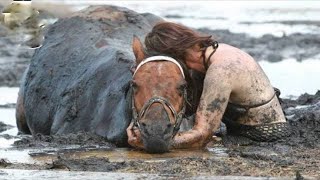 泥沼にはまって働けなくなった牝馬を、女が抱きしめて全力で救助すると、次の秒に不思議なことが起こる......