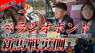 「ベラジオボンド」新馬戦 完全密着!! 1億円ロードカナロア産駒の実力は果たして！？【ベラジオch】