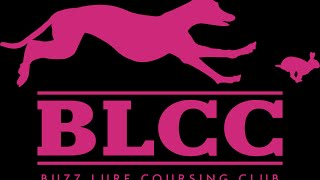 BLCC ルアーコーシング　体重別レース！　スライドショー