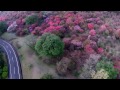 空撮　ドローン　西都原古墳群　桜　ツツジ　2015