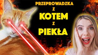 Przeprowadzka z KOTEM Z PIEKŁA RODEM! 🔥 Jak przeprowadzić się z upartym kotem? 🤔