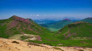 春の九重山（中岳：1,791m）登山 ～山肌を彩る ミヤマキリシマ と 雄大な展望 を満喫～