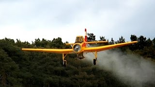 Z-37A ČMELÁK GIANT RC SCALE DDR AGRAR PLANE / RC Meeting Damelang Germany June 2015