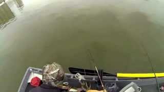 Fishing video/Saginaw River Walleye First attempt!!