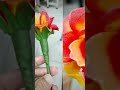 How to make carnation - Hoa Cẩm Chướng mọc quanh năm #mecamhandmadesaigon 😃#beeengstudyasabee