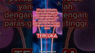 DIABETES PUNCA NO 1 KEGAGALAN BUAH PINGGANG #dupdapwellness#buahpinggang #CKD #kegagalanbuahpinggang