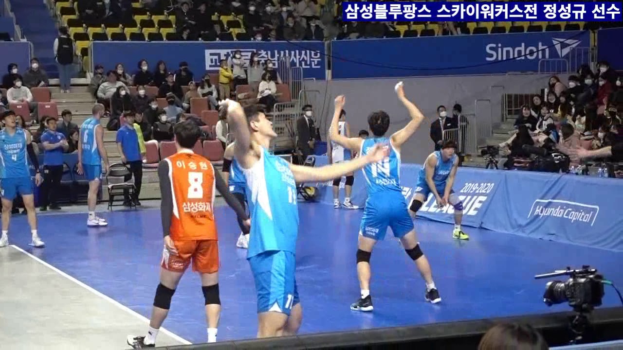 삼성블루팡스 Daejeon Samsung Bluefangs 스카이워커스전 정성규 선수 웜업 Korea Pro Volleyball ...